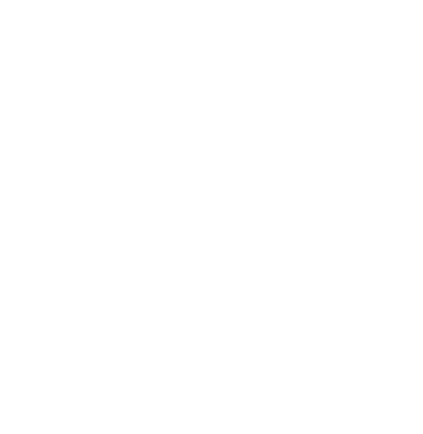 Município Figueira da Foz